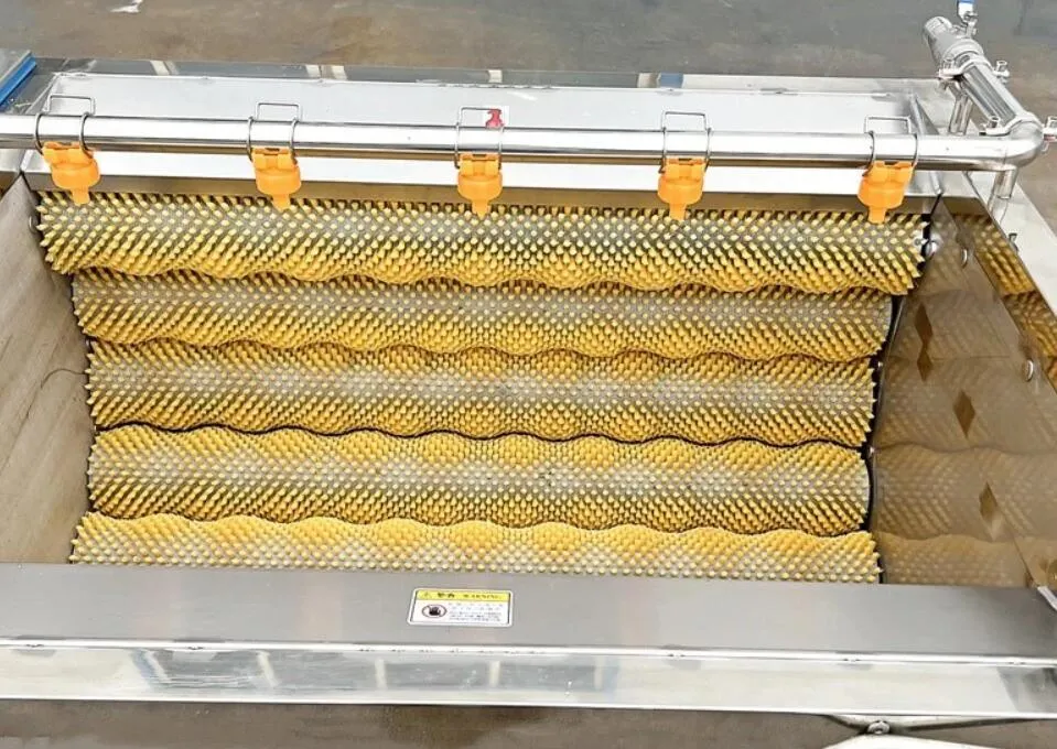 Ginger And Garlic Peeling And Cleaning Machine Ginger And Garlic Peeling And Cleaning Machine