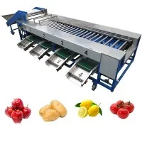 Zöldség-gyümölcs válogató gép